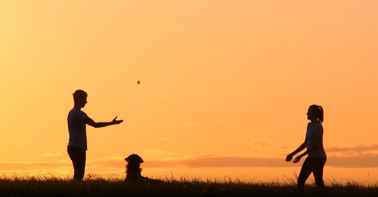 Summit Video Preview